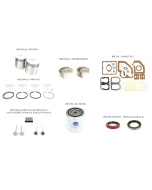 Wisconsin Motor Rebuild Kit for TFD THD (2 Cylinder)