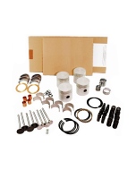 Lincoln SA-200 F162 Engine Rebuild Kit