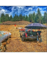 Pipeliners Cloud 10' Heavy Duty Umbrella (2 Colors Available)