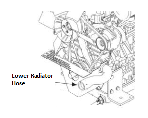 Lincoln OEM Lower Radiator Hose (9SM20828 / M20828)