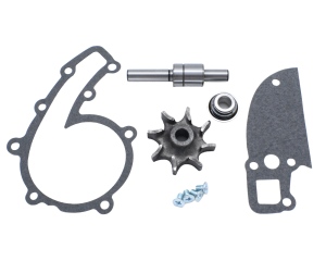 Water Pump Rebuild Kit for SA200 - F162 & F163