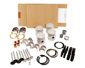 Lincoln SA-200 F162 Engine Rebuild Kit