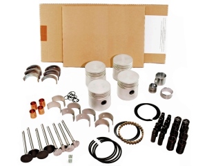 Lincoln SA-200 F162 Engine Rebuild Kit