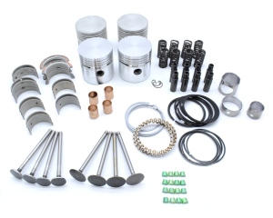 Lincoln SA-200 F163 Engine Rebuild Kit