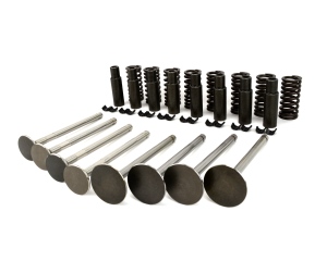 F163 Valve Train Kit