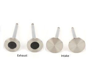  Intake & Exhaust Valves for Wisconsin Motors