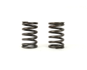 Exhaust Valve Springs for Wisconsin Motors  