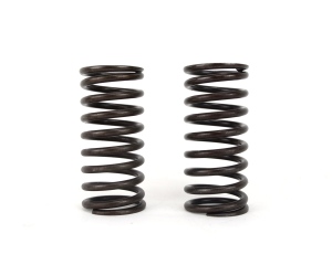Intake Valve Springs for Wisconsin Motors