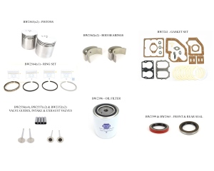 Wisconsin Motor Rebuild Kit for TFD THD (2 Cylinder)