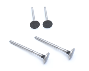 Lincoln SA-200 / SA-250 F163 Exhaust Valves