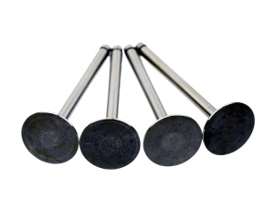 Lincoln SA-200 / SA-250 F163 Intake Valves