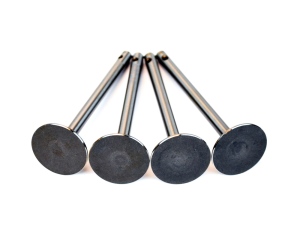 Lincoln SA-200 F162 Intake Valves