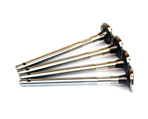 Lincoln SA-200 F162 Exhaust Valves