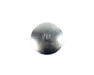 CAM Disk Plug for F162 F163 Motors