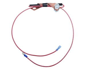 Low Idle Reed Switch Assembly for Lincoln SA-200 SA-250