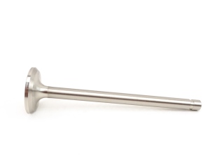 OEM Exhaust Valve for Wisconsin Motors  