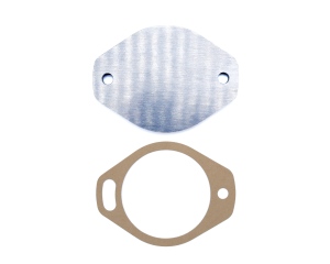 Magneto Block Off Plate & Gasket